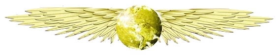 Sovereign
Soldiers logo